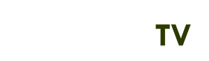 kết quả bóng đá thụy điển